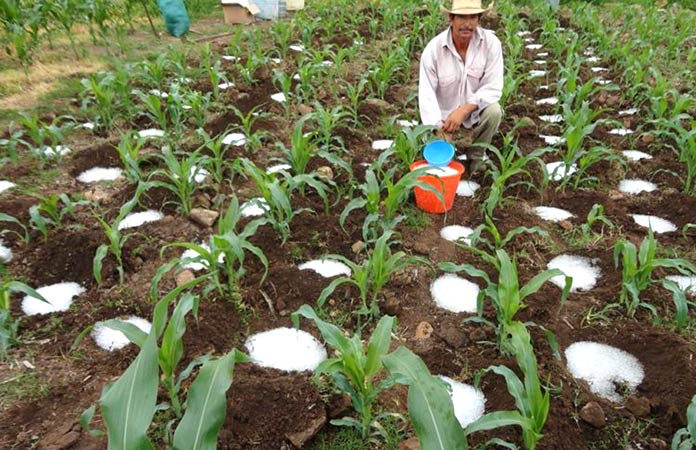 Invenciones mexicanas: Silos de agua