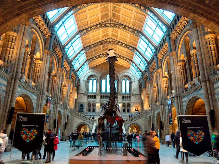 Museo de Historia Natural, Londres, Inglaterra.