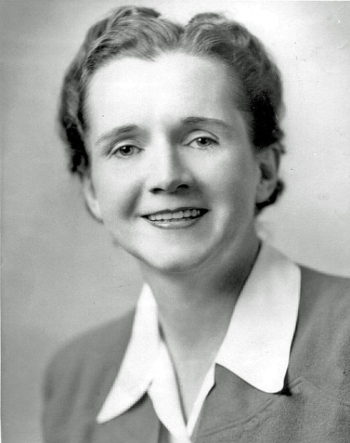 Movimientos sociales que cambiaron el rumbo de la historia – Rachel Carson.