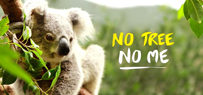 Campaña de la Australian Koala Foundation