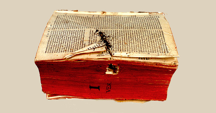 Libro de Agustín Santo, Obispo de Hipona atravesado por una bala