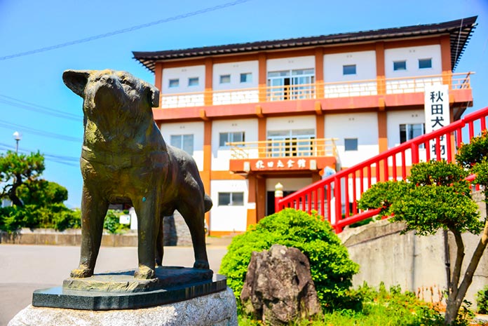 Akita Dog Museum (Japón)