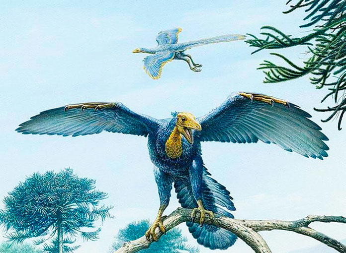 Archaeopteryx