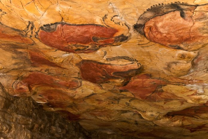 Arte prehistórico. Cueva de Altamira, vista del techo.