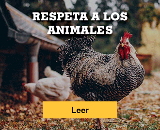 Historias de terror para no dormir - Banner - Respeta a los animales