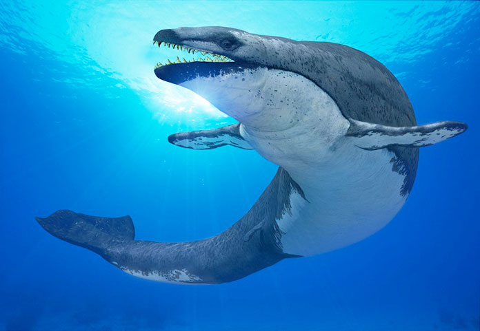 Basilosaurus