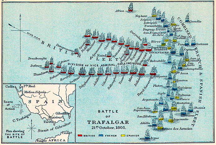 División de las tropas - Batalla de Trafalgar