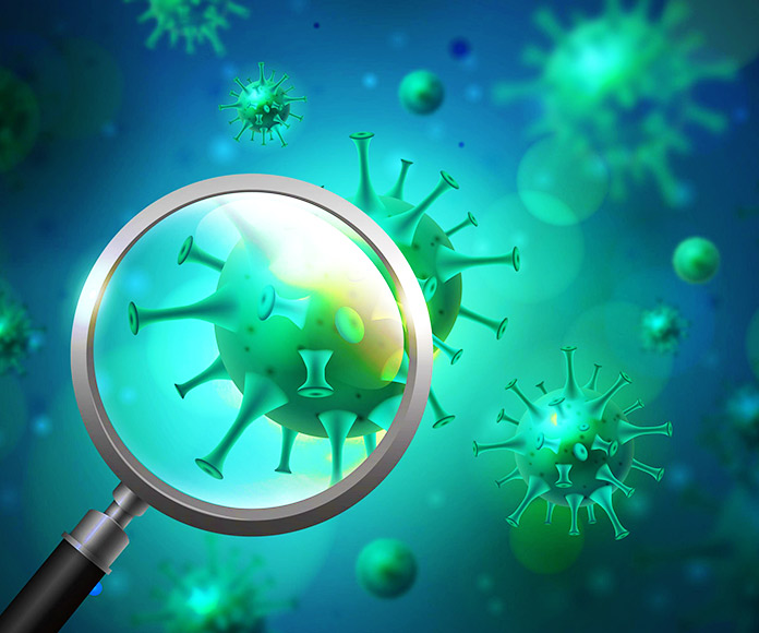 Brotes, epidemias y pandemias: gripe aviar, gripe A y coronavirus