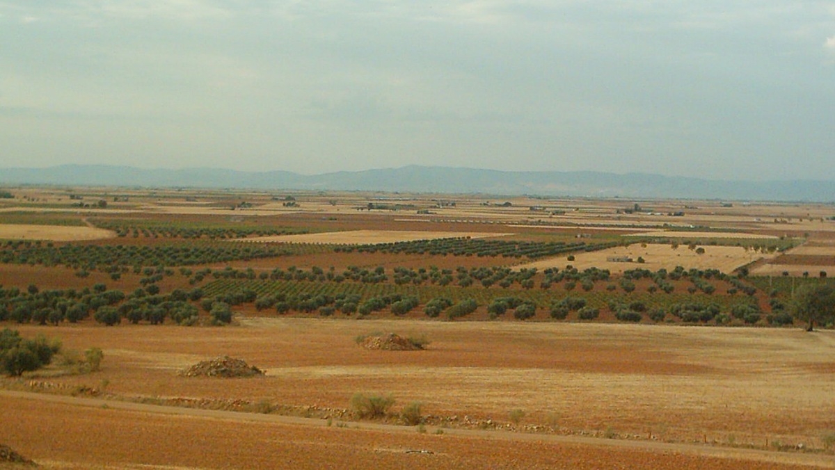 Campo de Calatrava