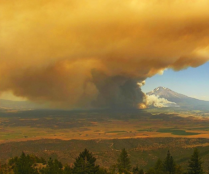 Incendio forestal.