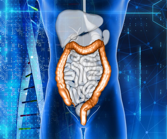 Conoce por qué el equilibro de la microbiota intestinal no debería ser alterado