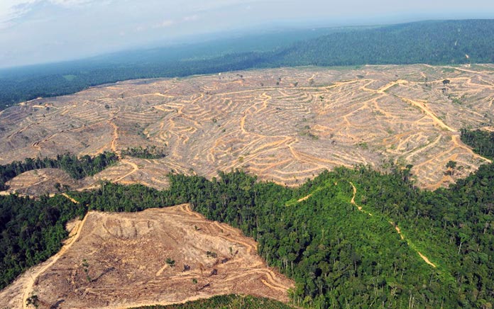 pandemia del planeta -Deforestación del Amazonas