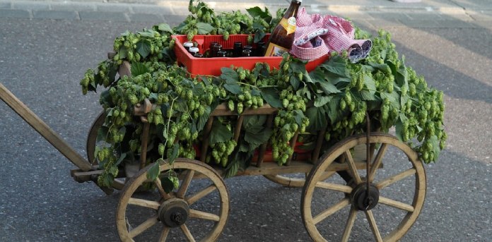 Día del Padre. Celebraciones curiosas del Día del Padre. Carrito típico con bebidas. Día del Padre en Alemania.