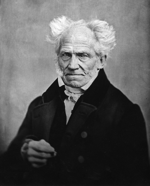 Dilema-Del-Erizo-Schopenhauer