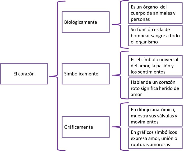 25 Ejemplos de organizadores graficos cuadro sinoptico