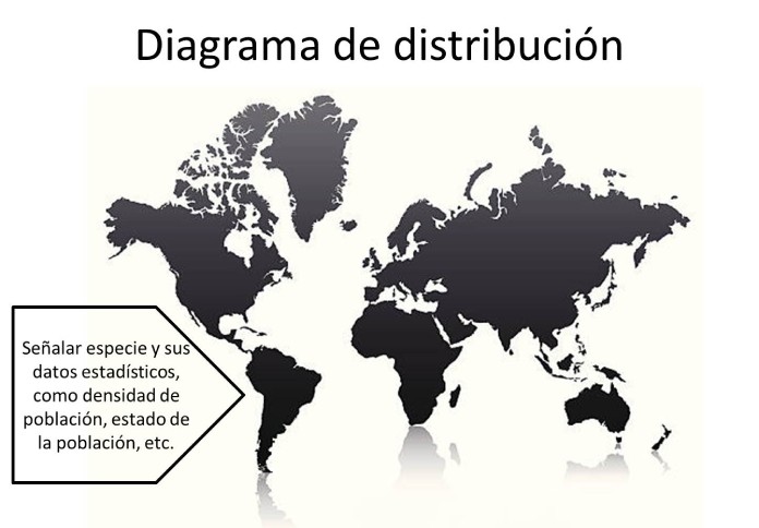 25 Ejemplos de organizadores graficos diagrama de distribucion