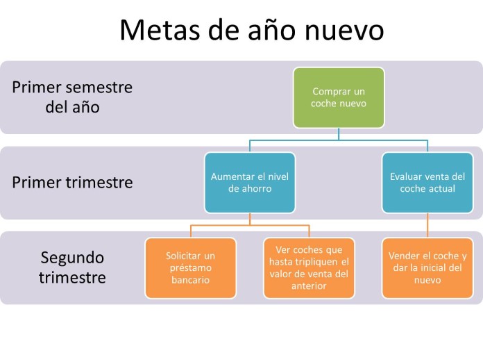 25 Ejemplos de organizadores graficos diagrama jerárquico