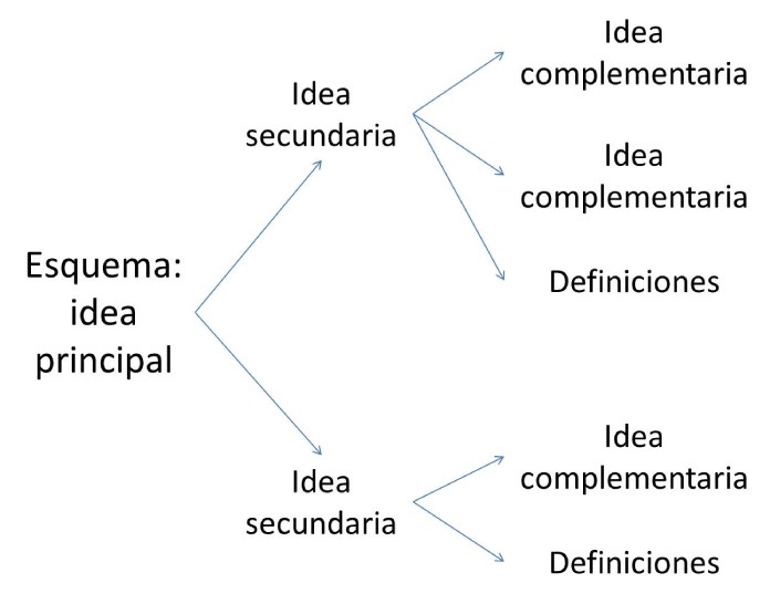 25 Ejemplos de organizadores graficos el esquema