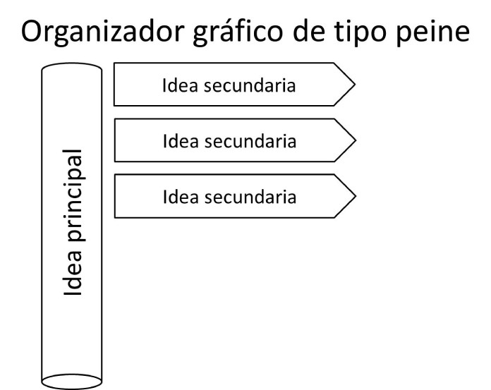 25 Ejemplos de organizadores graficos grafico del peine