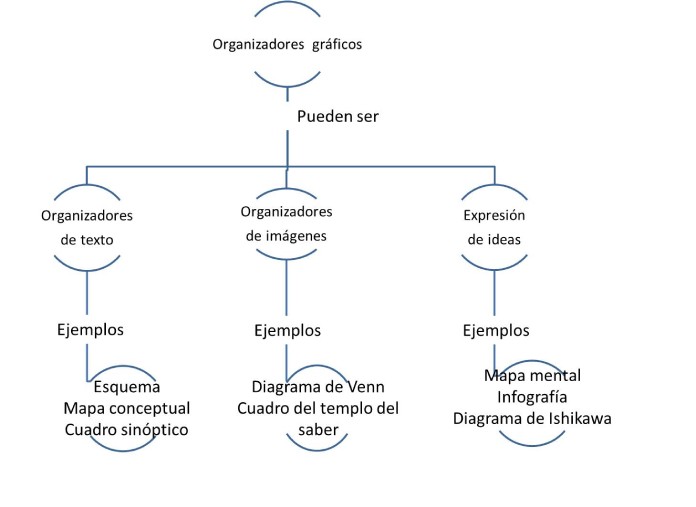 25 Ejemplos de organizadores graficos mapa conceptual