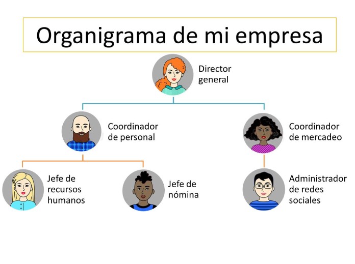 25 Ejemplos de organizadores graficos organigramas