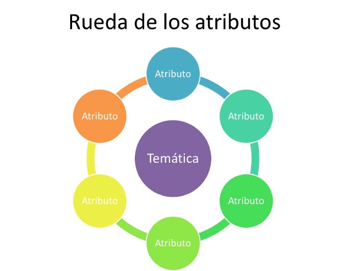 25 Ejemplos de organizadores graficos rueda de los atributos