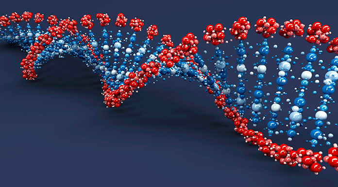 Epigenética: apagando y encendiendo genes