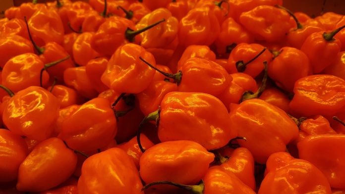 Escala Scoville- Chile habanero.