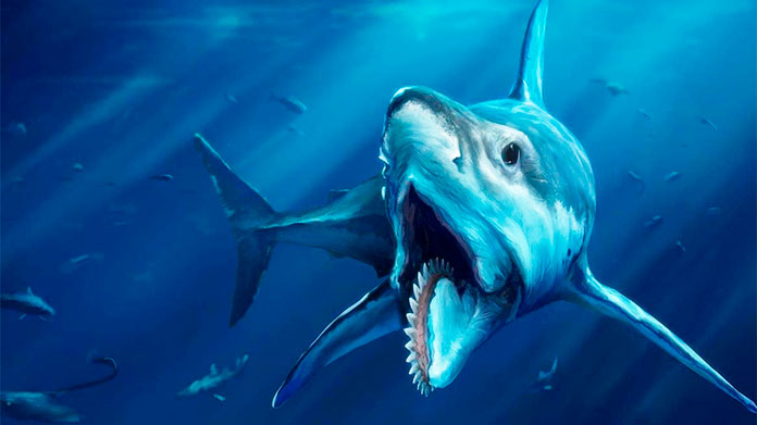 Helicoprion