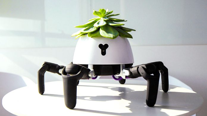 Hexa, el robot araña que cuida tus plantas
