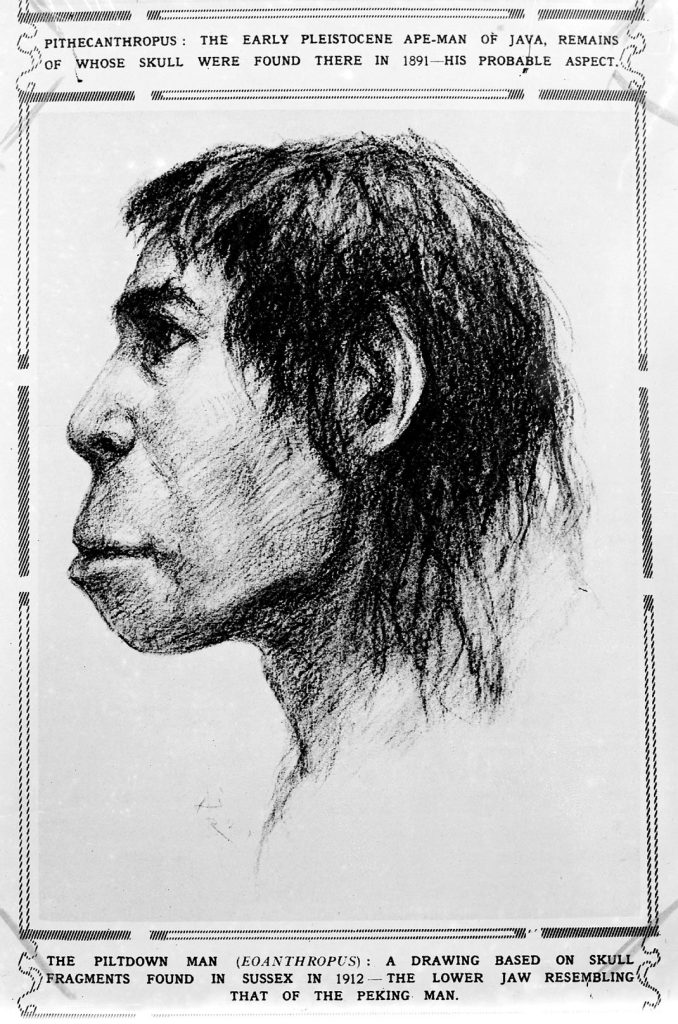 Ilustración del supuesto Hombre de Piltdown (Eoanthropus dawsoni), reconstruido a partir de los fragmentos craneales hallados en Sussex en 1912