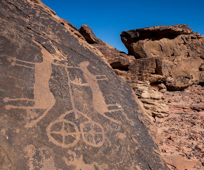 Hombres y perros cazaban juntos hace más de 8.000 años