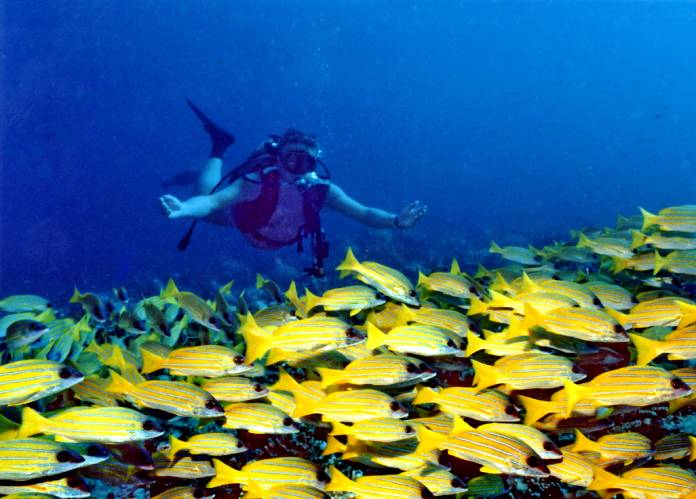 Islas-Maldivas-Banana-Reef