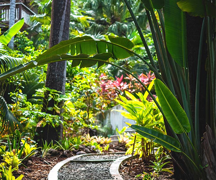 Los jardines literarios más evocadores de la historia