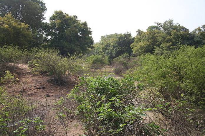 Burkina Faso: Parque Nacional Kaboré Tambi