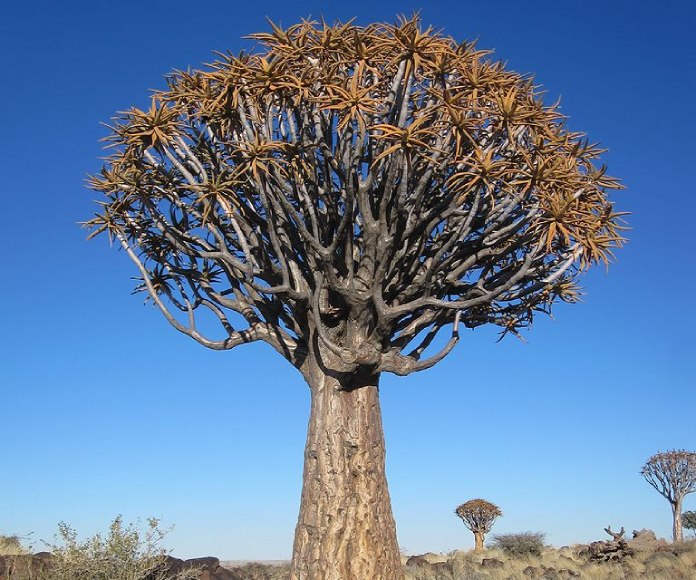 Las maravillas naturales de Sudáfrica ya disponibles en Google Street View