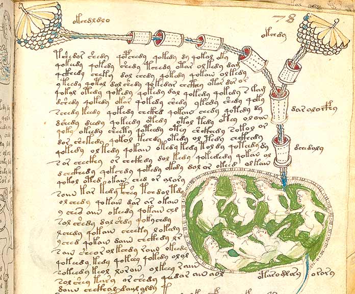 Manuscrito Voynich, sección sobre el cuerpo humano