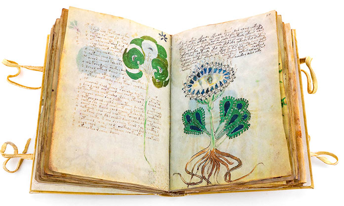 Manuscrito Voynich, sección sobre plantas