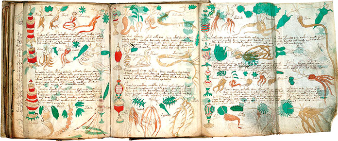 Manuscrito Voynich