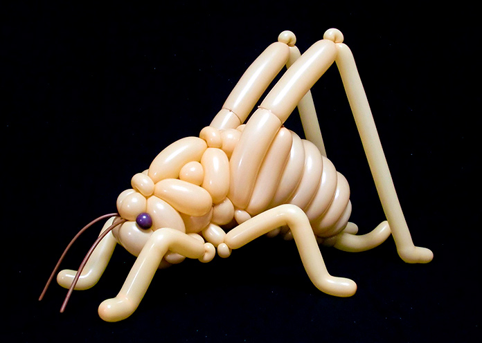 Insecto (Masayoshi Matsumoto)