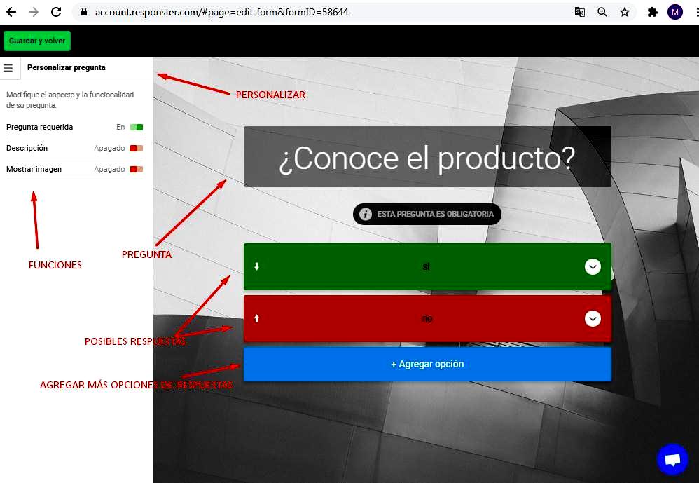 Páginas para hacer encuestas - Opciones de encuesta Responster