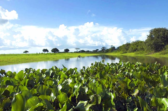 Países con clima tropical - Venezuela