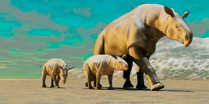  Un Paraceratherium con sus crías