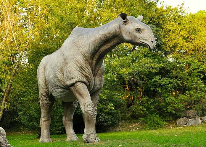 Paraceratherium