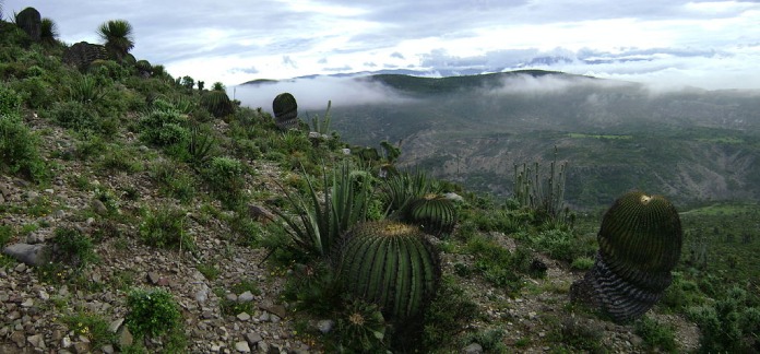 Patrimonios-Culturales-De-Mexico-Valle-Tehuacan