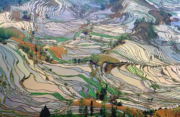 Patrimonio cultural de la humanidad: Los Arrozales en terraza de los Hani de Honghe 