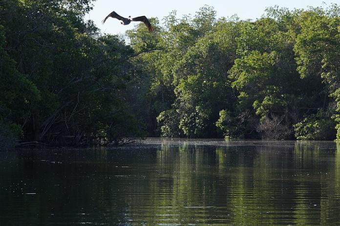 Laguna de Manialtepecec.