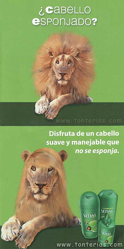 Publicidad_Graciosa_Sedal