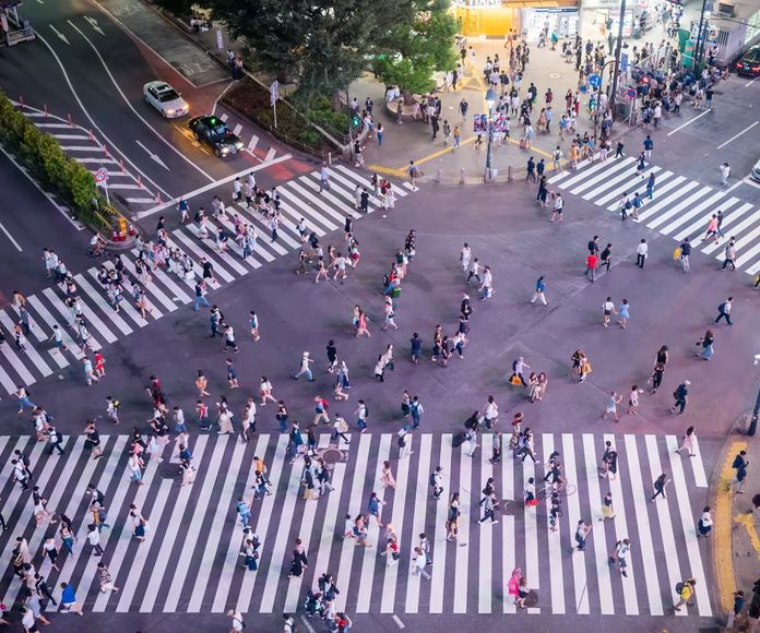 Ramas de la sociología: métodos, concepto y objetos de estudio de 20 fascinantes campos de la sociología