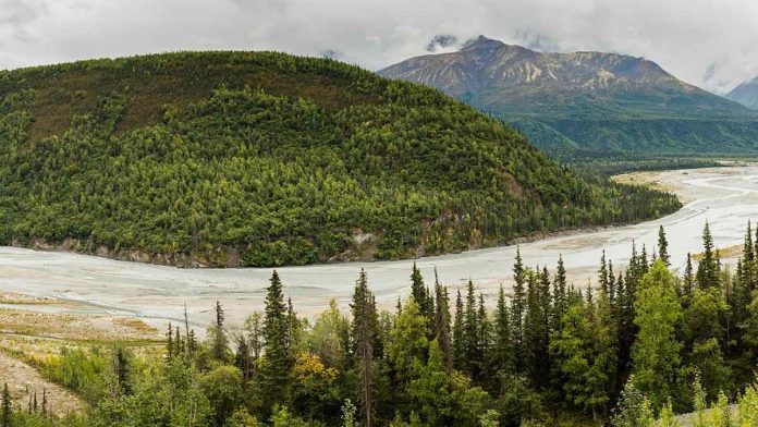 Río Matanuska, Palmer en Alaska